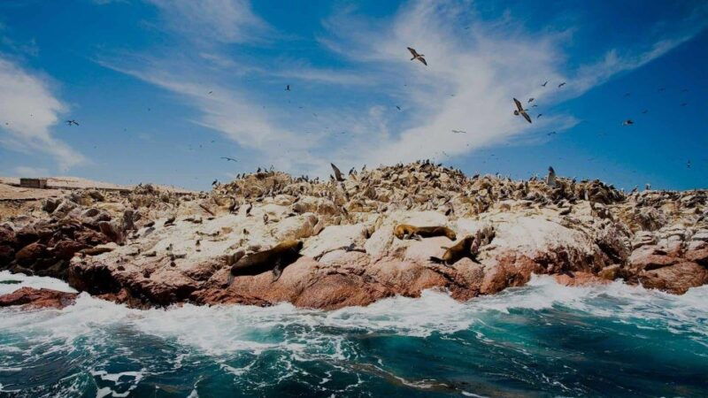 peru-7-day-package-huacachina-oasis-and-machu-picchu