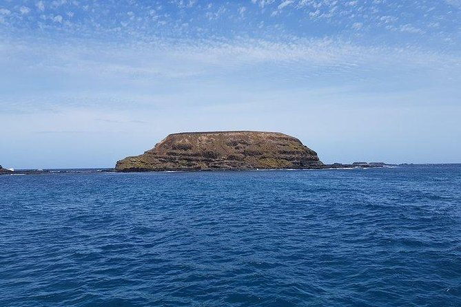 Phillip Island Penguin and wildlife Tour - Who Would Love This Tour?