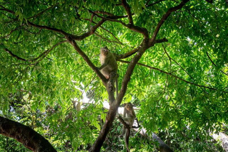 phnom-penh-phnom-oudong-koh-chen-village-lunch-include