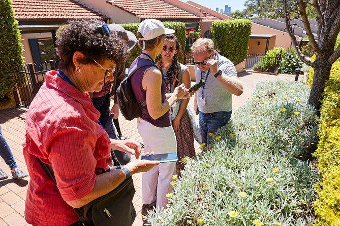 Phone Photography workshop in Sydney - Explore historic Balmain. - Practical Details and Value
