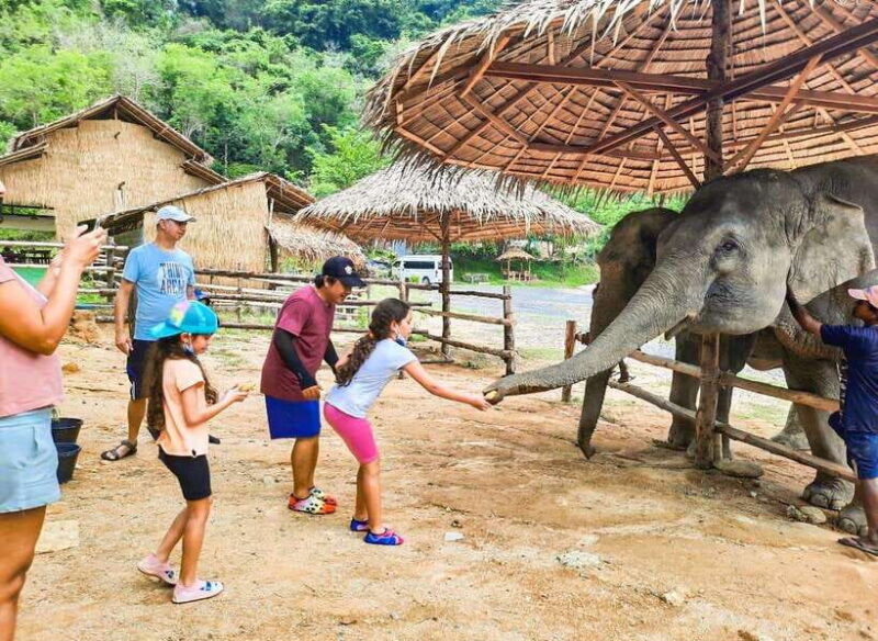 phuket-city-tour-with-viewpoints-temples-elephant-feeding