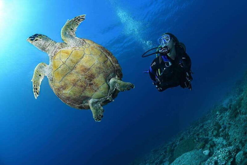 phuket-discover-scuba-diving-to-racha-yai-island