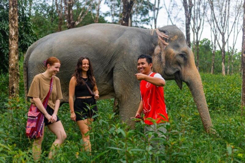 phuket-elephant-sanctuary-small-group-tour-in-khao-lak