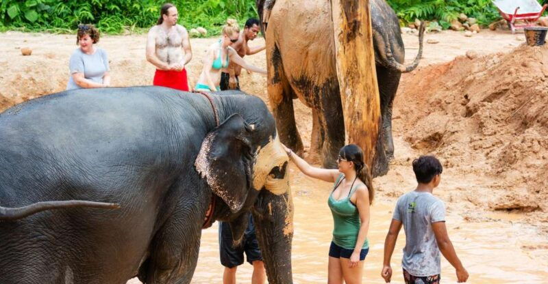 phuket-phuket-elephant-sanctuary-wat-chalong-more