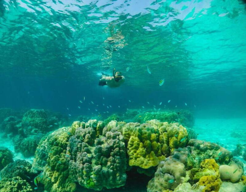 phuket-raya-yai-snorkeling-safari-island-tour