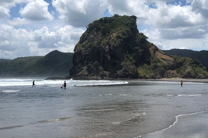 Piha Beach - Rainforest Trek and Kitekite Falls  