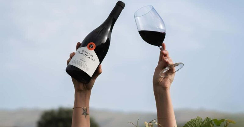 pinhao-quinta-da-formigosa-vineyard-tour-and-wine-tasting