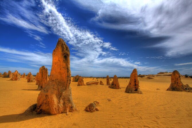 Pinnacles Desert, Yanchep and Swan Valley with Lunch - Who Will Love This Tour?  