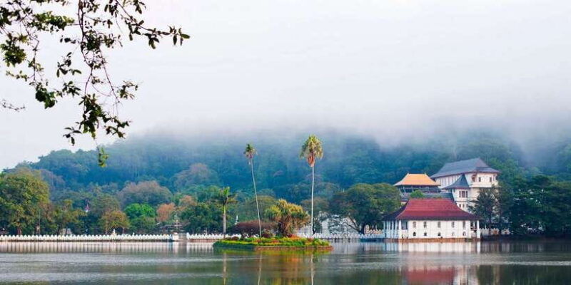pinnawala-kandy-day-tour-from-negombo