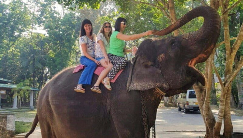 pinnawalakandy-day-tour-from-colombo-negombo