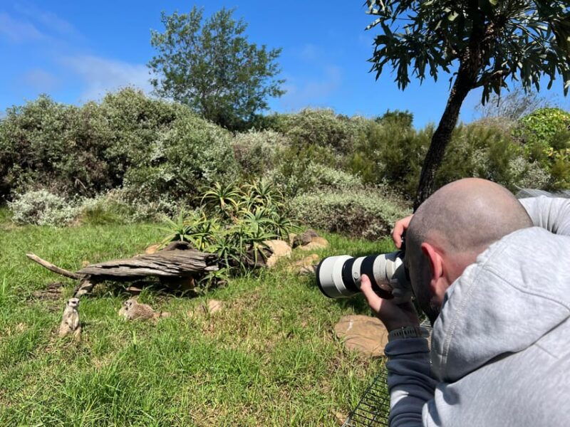 plettenberg-bay-guided-forest-walk-and-wildlife-tour