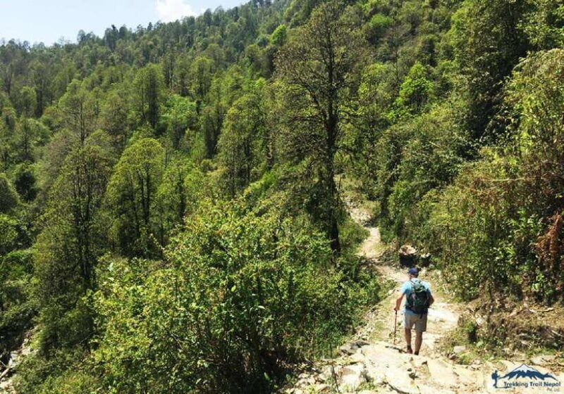 pokhara-3-day-hike-tour-to-annapurna-himalayas-foothill