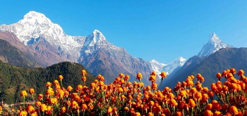 pokhara-4-day-ghorepani-poonhill-ghandruk-mountain-trek