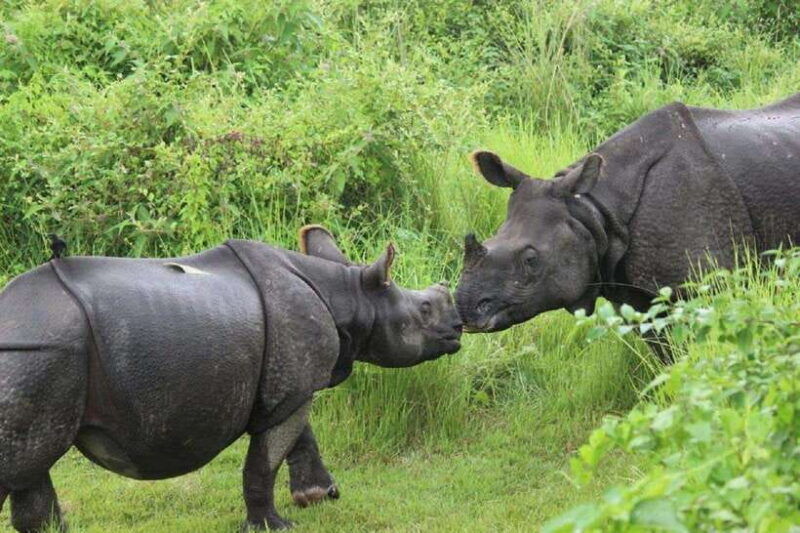 pokhara-to-chitwan-private-transfer