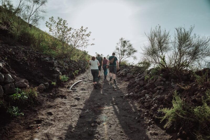 pompeii-and-mount-vesuvius-excursion-from-naples