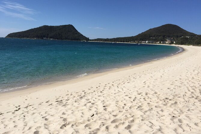 Port Stephens Private Tour From Sydney, with Dolphin/ Whale Cruise Options - Enjoying Local Flavors and Relaxing Beaches