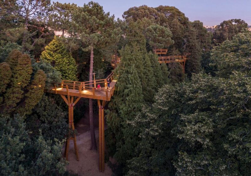 porto-serralves-park-entry-ticket