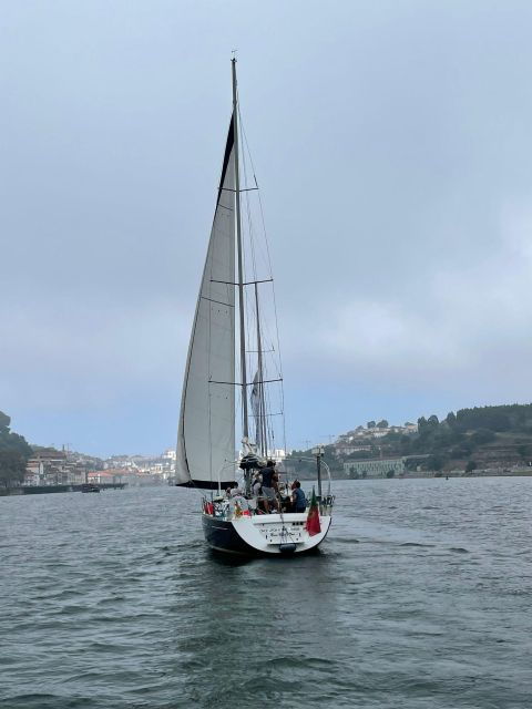 porto-the-best-douro-boat-tour