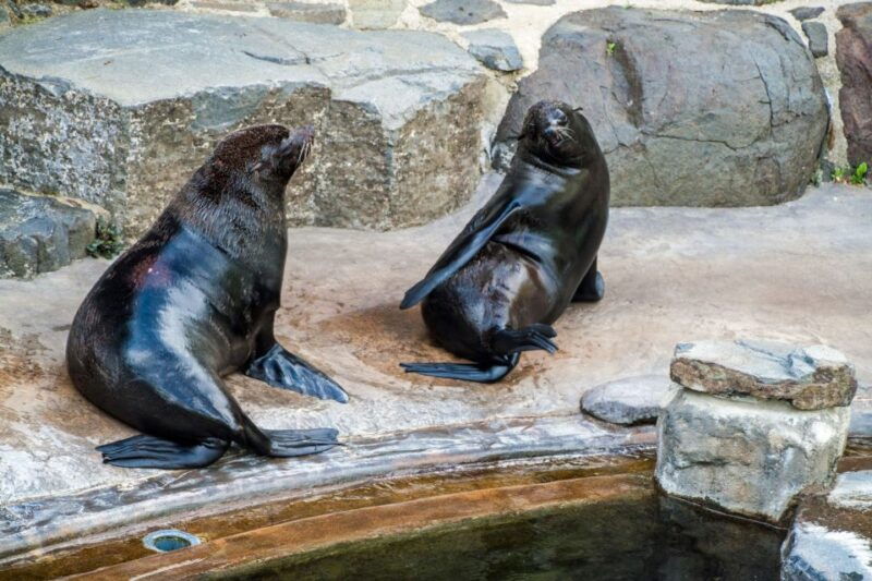 prague-boat-ride-to-the-zoo-and-admission-ticket