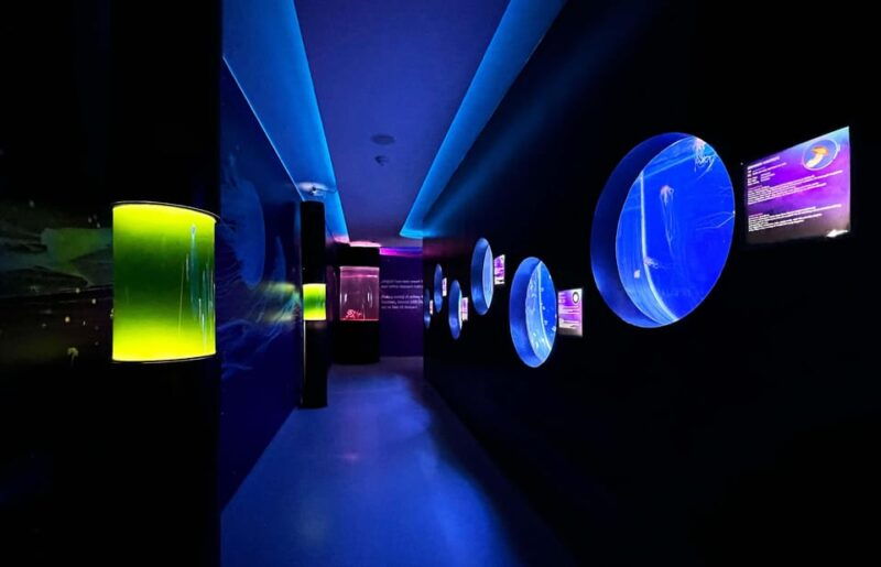 prague-the-world-of-jellyfish-entry-ticket-w-drink