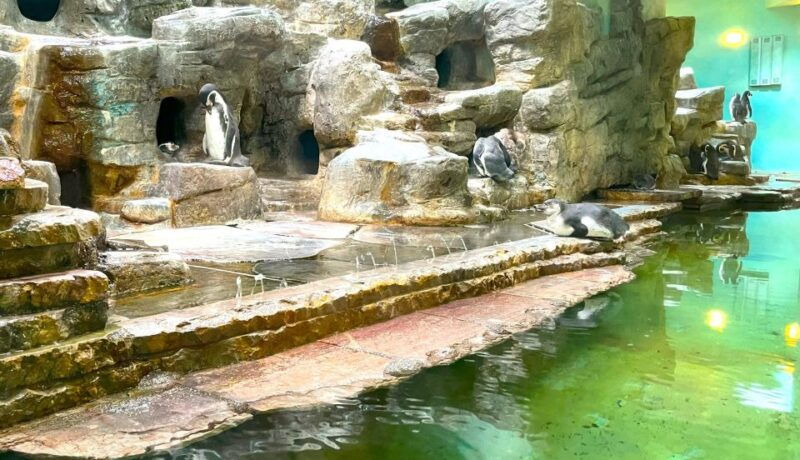 prague-zoo-online-audio-guide-no-ticket