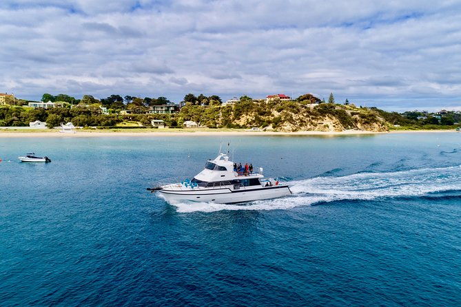 Private 2 Hour Dolphin and Seal Swim Mornington Peninsula - FAQ