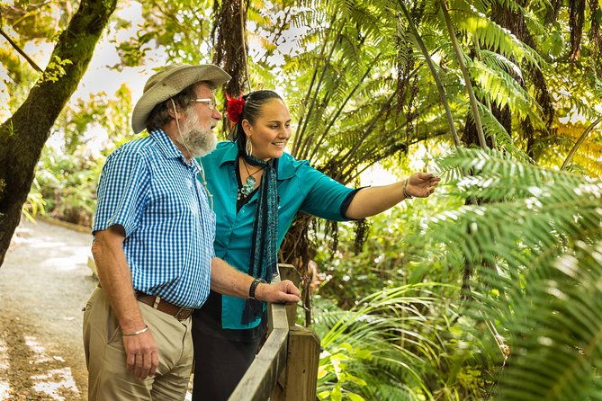 Private Auckland Half Day Tour - Paying Attention to the Details: What to Expect
