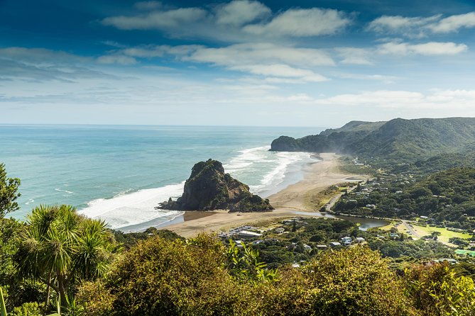 Private Auckland West Coast Day Tour - Transport & Logistics