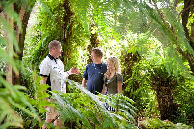 Private Auckland Wine & Dine Kumeu Country & Cuisine - The Sum Up