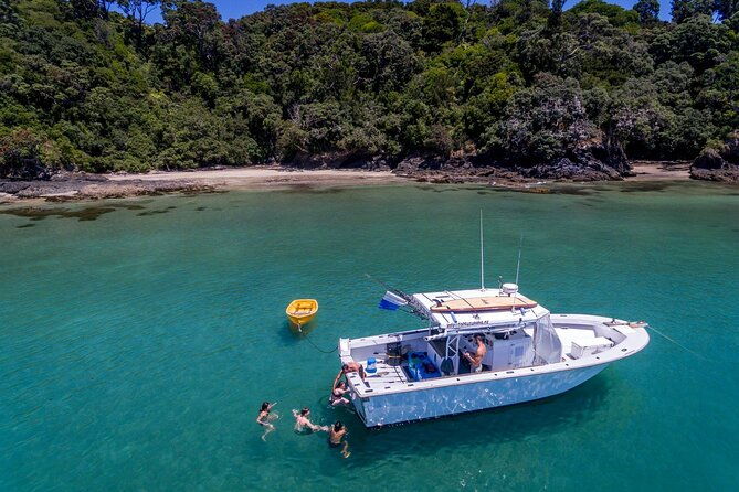 Private Big Game Fishing Charter from Tutukaka, Northland - Final Thoughts