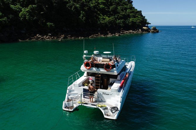 Private boat charter in Abel Tasman National Park - The Experience and What to Expect
