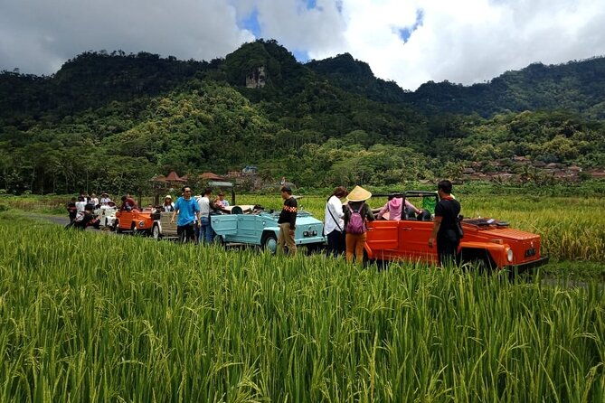 Private Borobudur Village Trip By Volkswagen Safari - What We Loved and What to Keep in Mind