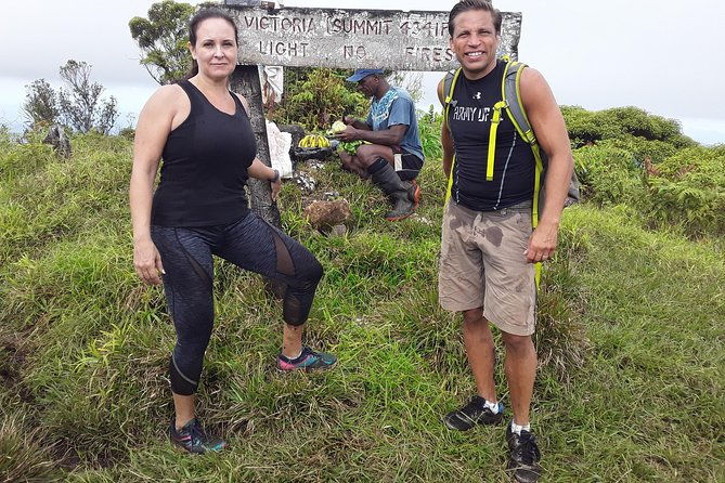 Private Breathtaking Mnt Victoria Day Trek - Authentic Feedback from Travelers