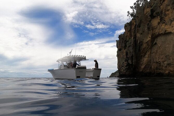 Private Charter 5 Hour Snorkel and Paddleboard the Poor Knights - 1 to 12 people - Final Thoughts