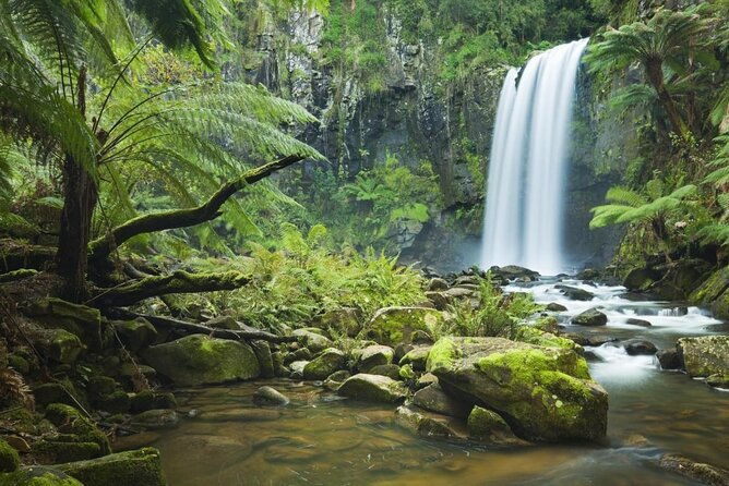 Private Day Tour at The Great Ocean Road - Who Should Consider This Tour?