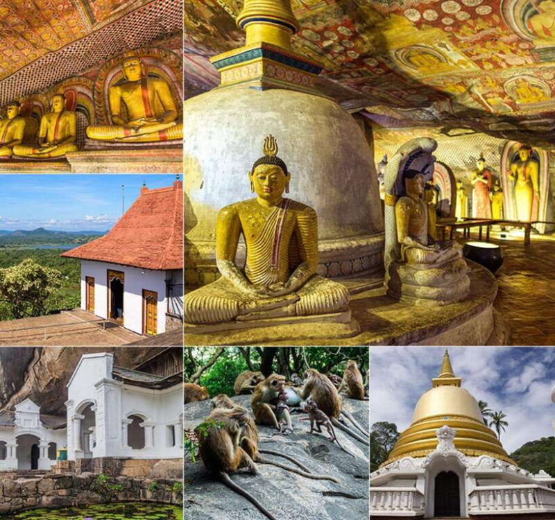 private-day-tour-dambulla-sigiriya-village-tour
