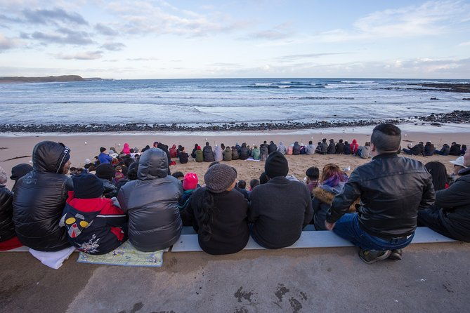 Private Day Tour of Phillip Island Wildlife and Brighton Beach - Final Thoughts: Is It Worth It?