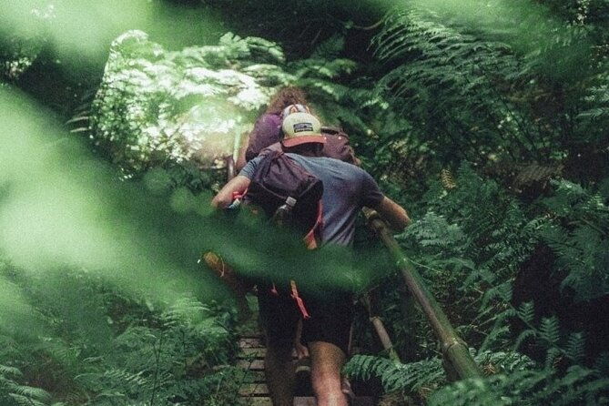 Private Day Trip at the Blue Mountains - FAQ