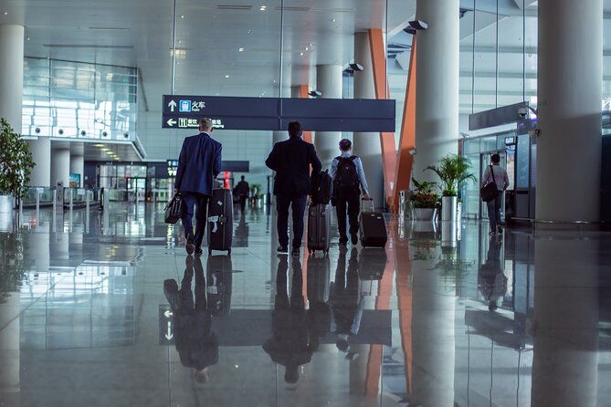 Private Departure Transfer: Hotel to Beijing Airport (PEK/PKX) - Vehicle Options and Comfort