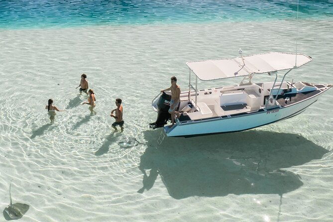 Private Discovery of the Marine Fauna of Moorea - Why This Tour Stands Out