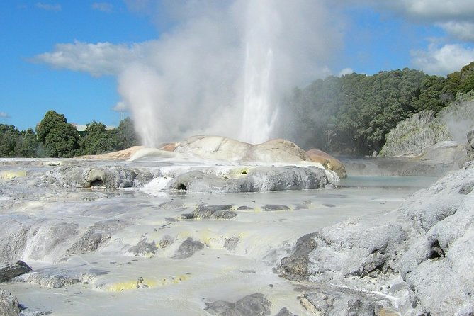 Private Full-Day Rotorua Tour from Auckland - What Makes This Tour Stand Out?