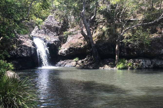 Private Group Tour Brisbane & Gold Coast Personal Tours - What Past Travelers Say