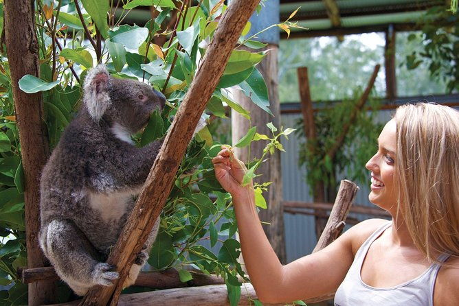 Private Guided Tour: Blue Mountains Tour from Sydney - Scenic World (Optional, 2 hours)