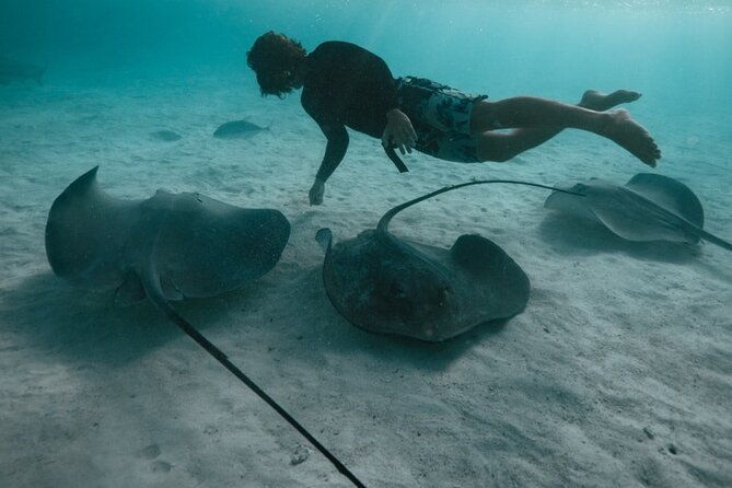 Private Half Day Snorkeling in Moorea - The Experience in Context