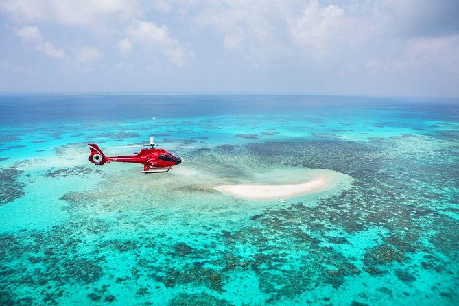 Private Helicopter Tour: Reef Island Snorkeling and Gourmet Picnic Lunch - The Sum Up: Who Will Love This Tour?