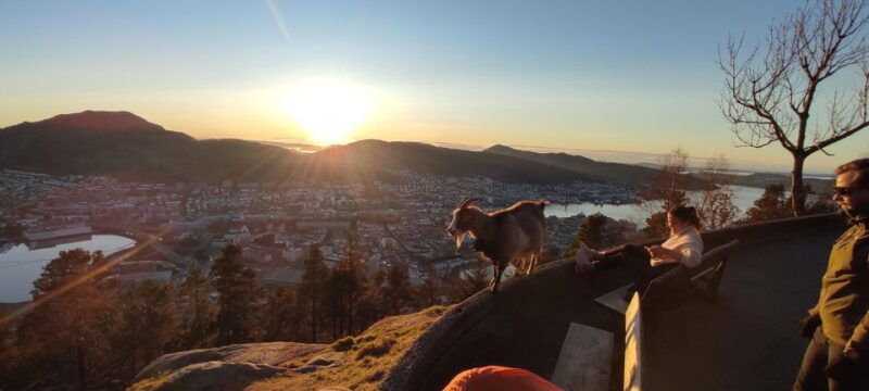 private-hiking-tour-bergen-mountains-like-a-local