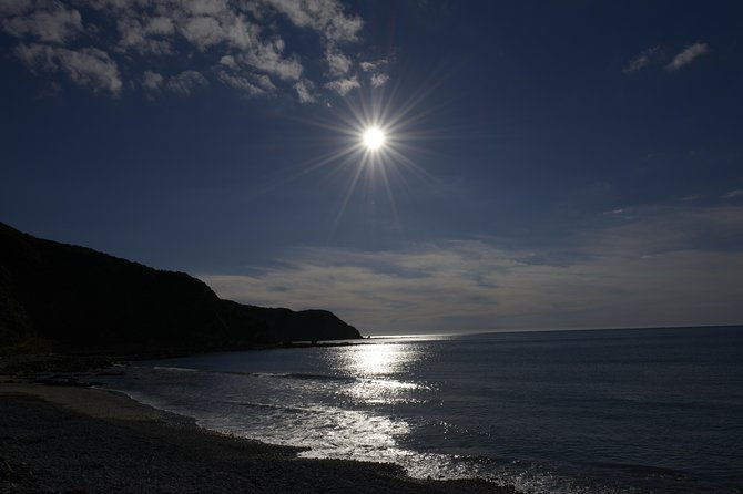 Private Kapiti Coast Full Day Tour - Final Thoughts