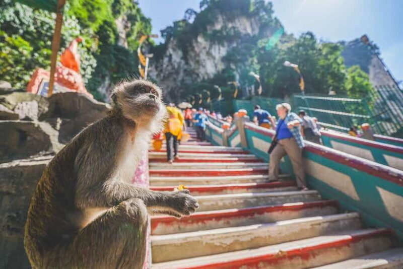 private-kl-city-tour-with-petronas-twin-towers-batu-caves