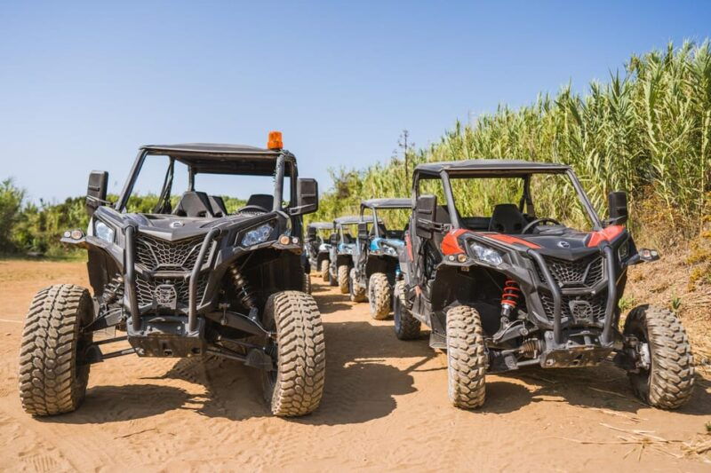 private-korcula-buggy-safari-with-wine-tasting