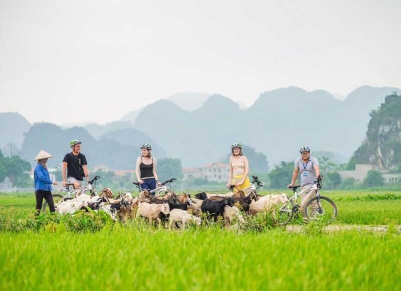 private-luxury-1-day-trip-hoa-lu-tam-coc-mua-cave-biking